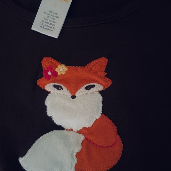 Gymboree & Children’s place Fox outfit top size 6 skirt size 5/6 - Picture 5 of 6